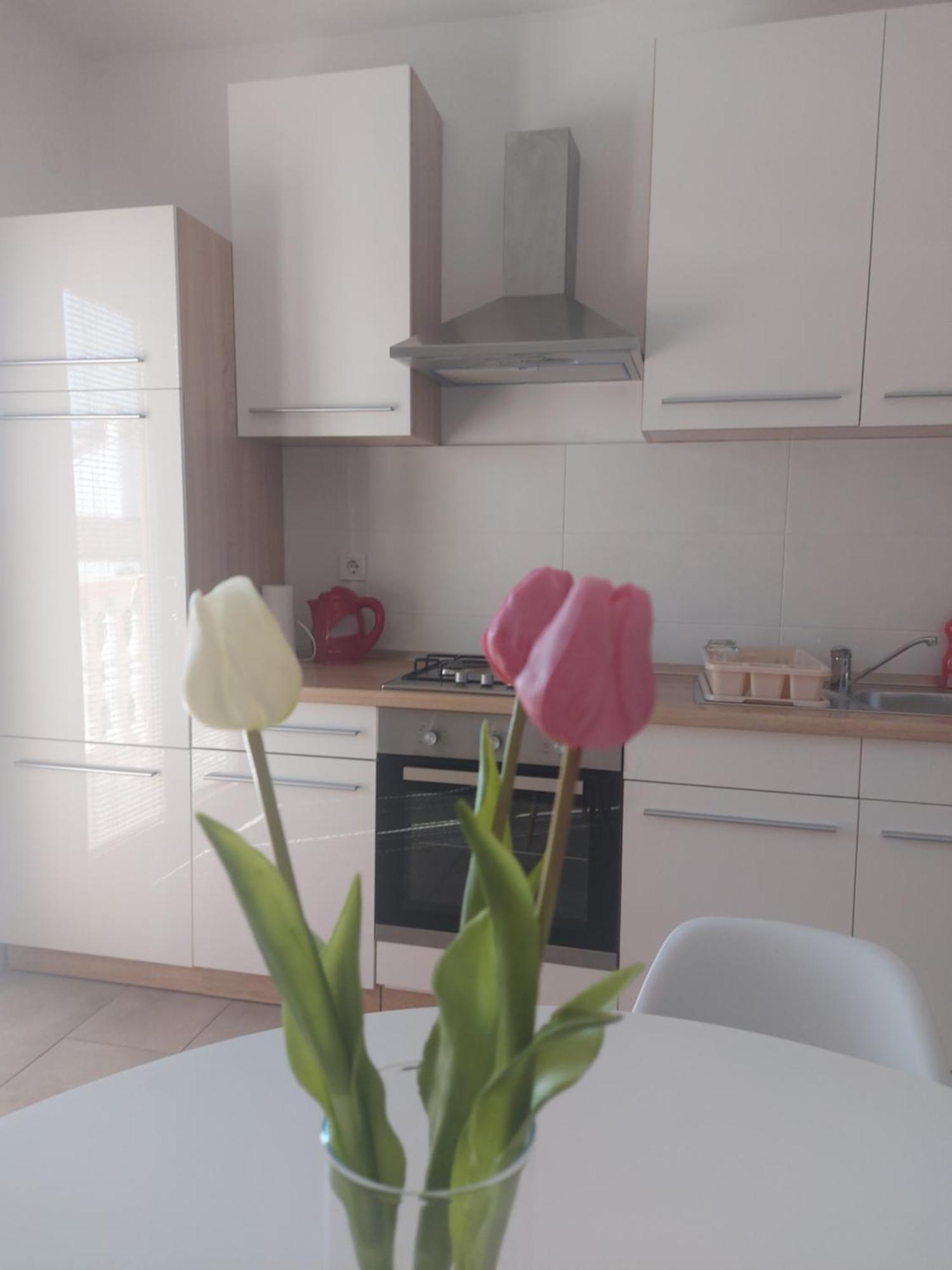 Apartment Ante And Dijana Starigrad Paklenica Exteriér fotografie